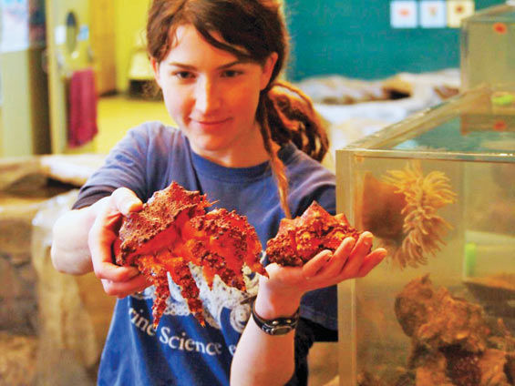 Explore marine life at the Port Townsend Marine Science Center