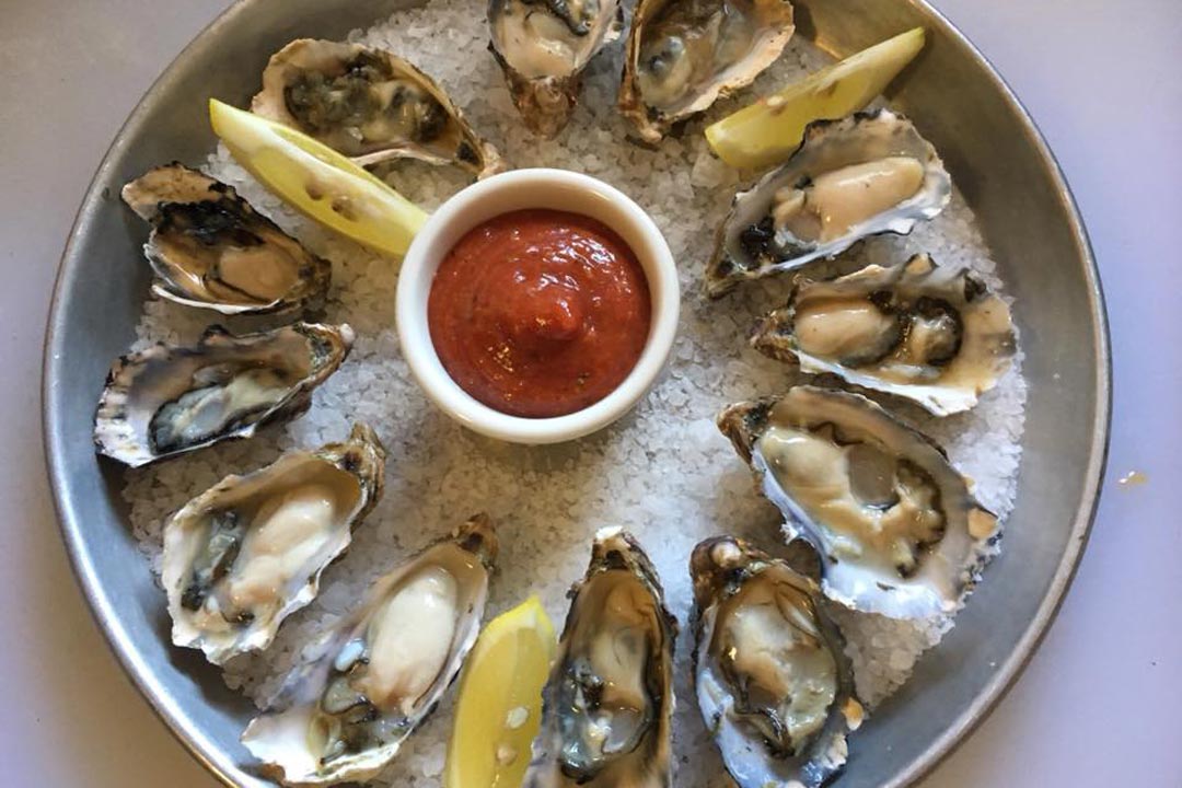 oysters at sirens