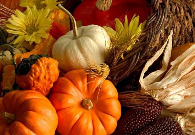 Port Townsend Restaurants Open on Thanksgiving | Enjoy Port Townsend